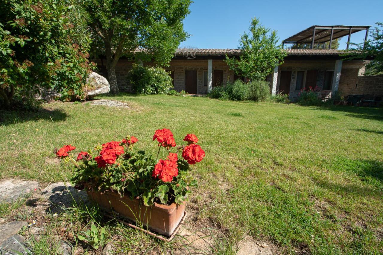 Agriturismo Testone Benetutti Exterior foto